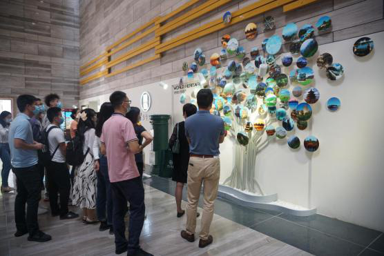 全体师生党员赴开平市博物馆参观学习