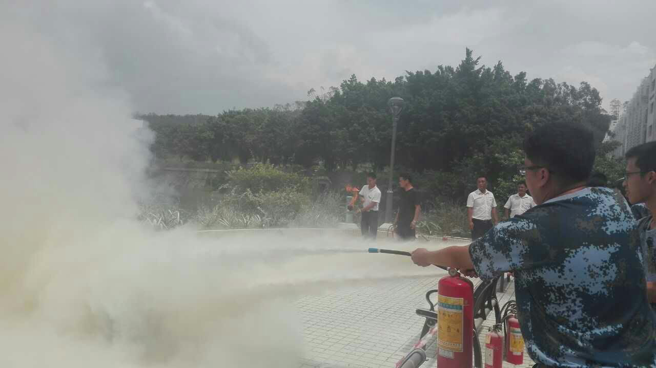 军训剪影 · 青春正好